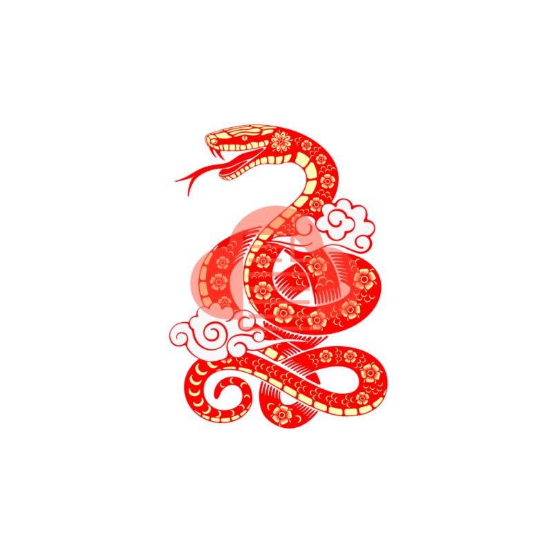 Download Về Rắn Vector AI, PNG, SVG, PDF, JPG Cho Năm Ất Tỵ ran vector 5