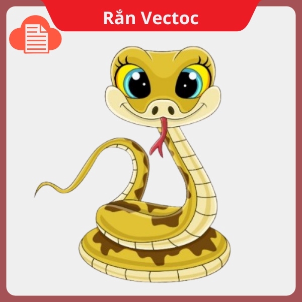 ran vector 3 1