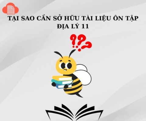 tai-sao-nen-so-huu-tai-lieu-on-tap-dia-ly-11