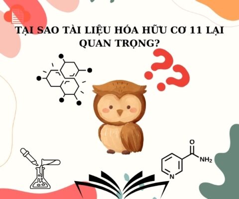 tai-lieu-hoa-huu-co-11-2