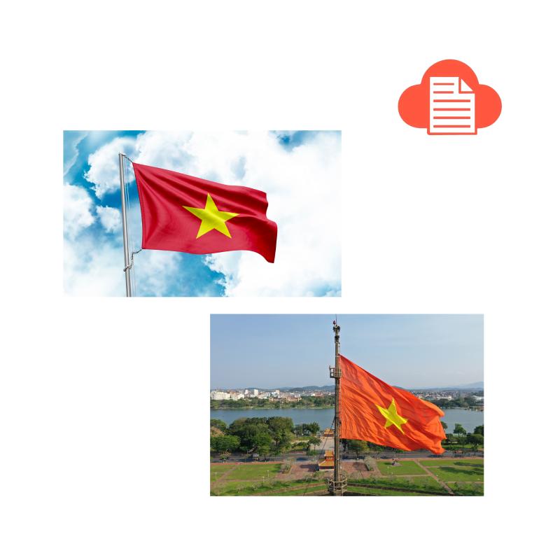 Kho Ảnh Lá Cờ Việt Nam Vector (PNG, PSD, JPG) Tải Miễn Phí nen co do sao vang