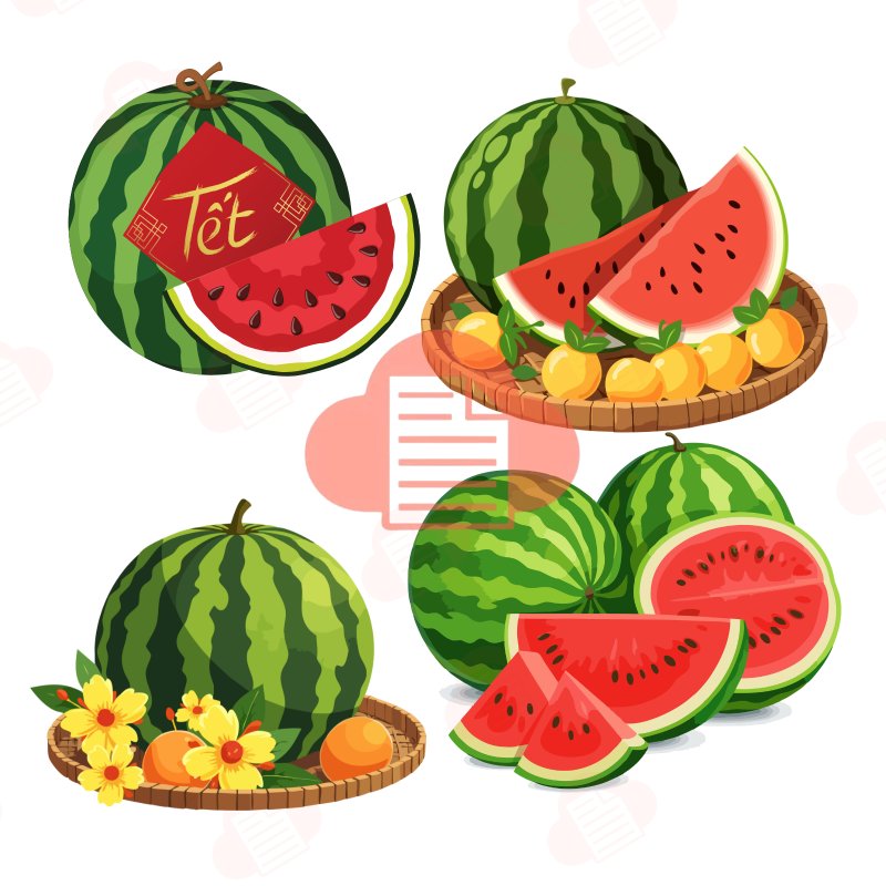 qua dua hay vector 13