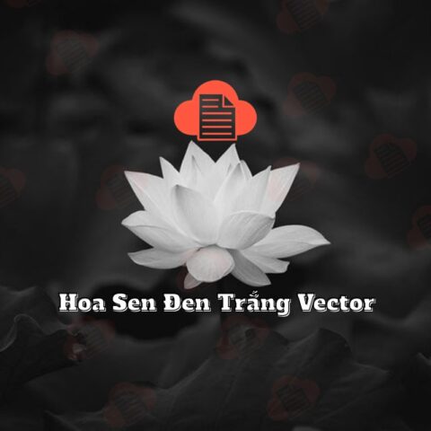hoa sen trang den dam tang vector 2