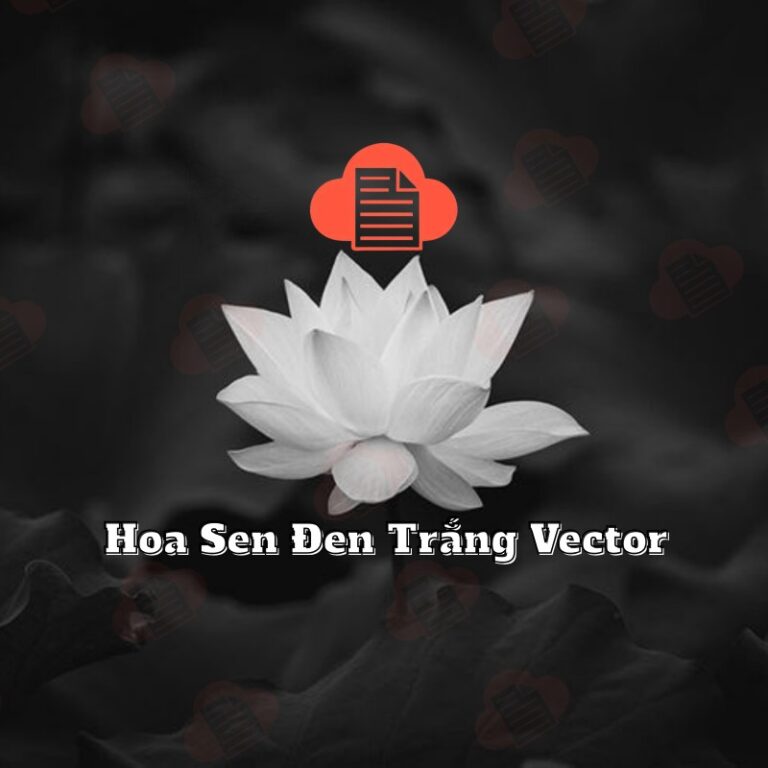 hoa sen trang den dam tang vector 2