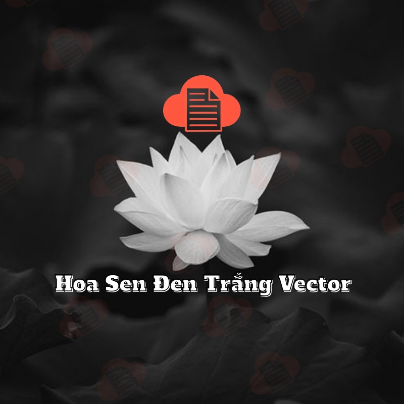 hoa sen trang den dam tang vector 2