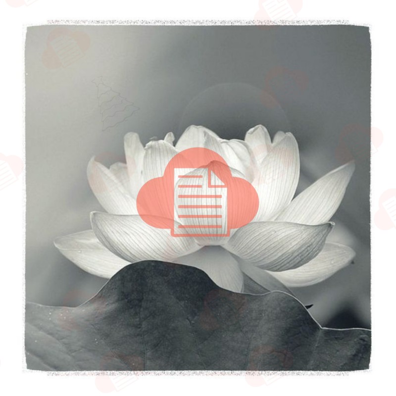 hoa sen trang den dam tang vector 22