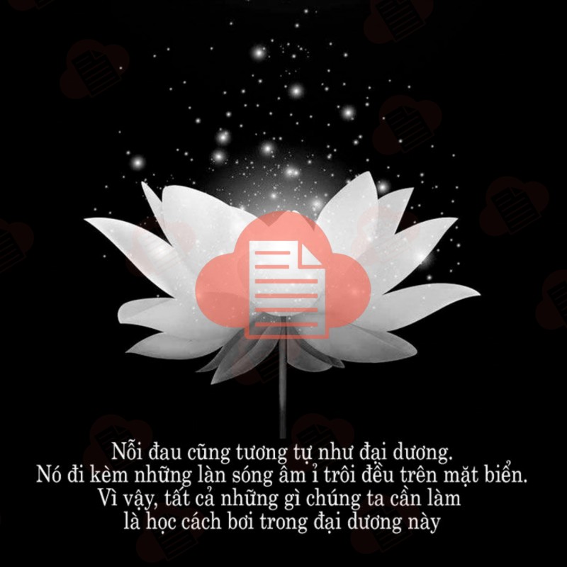 hoa sen trang den dam tang vector 3