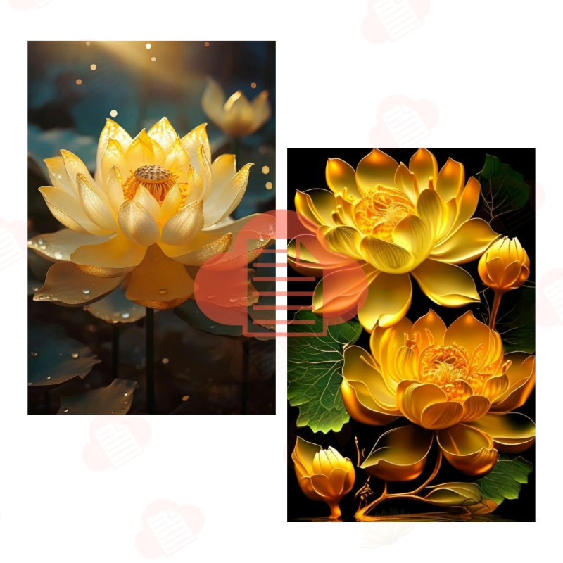 hoa sen vang vector 13