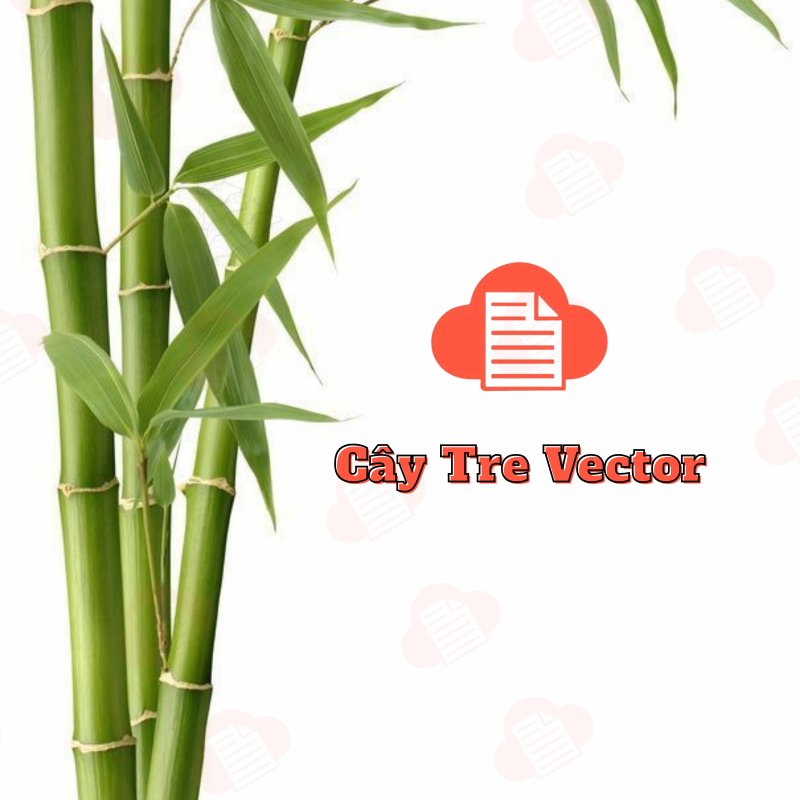 File Hình Cây Tre Việt Nam Vector Đẹp Free Download (AI, Corel, PNG) cay tre vector 2
