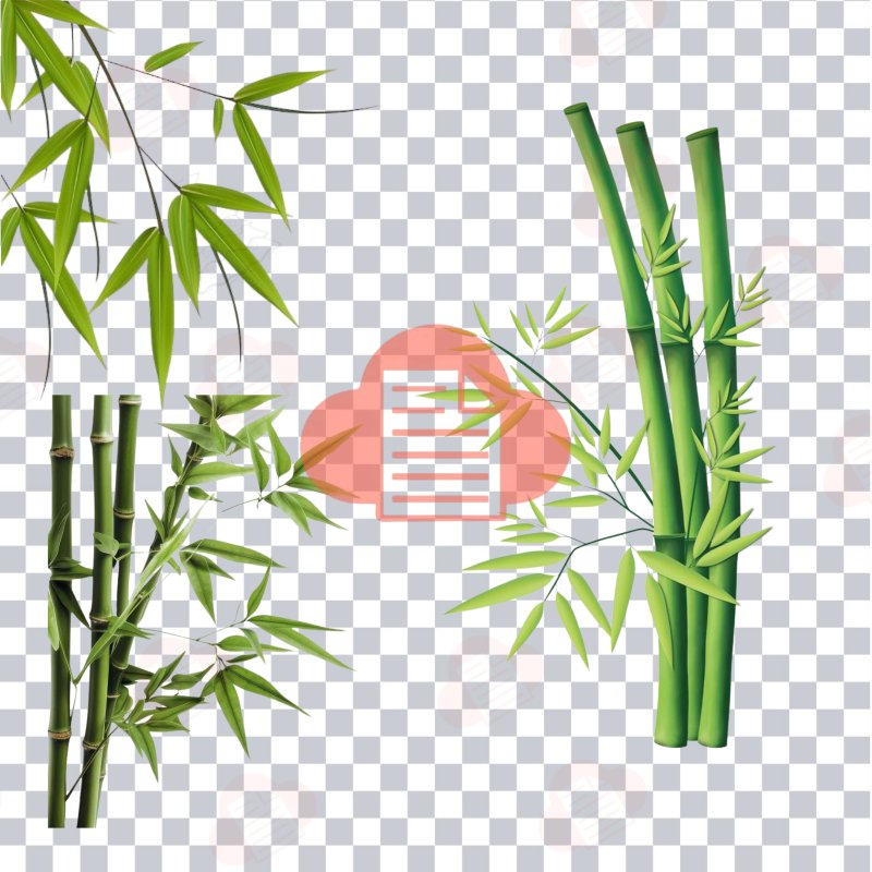 File Hình Cây Tre Việt Nam Vector Đẹp Free Download (AI, Corel, PNG) cay tre vector 3