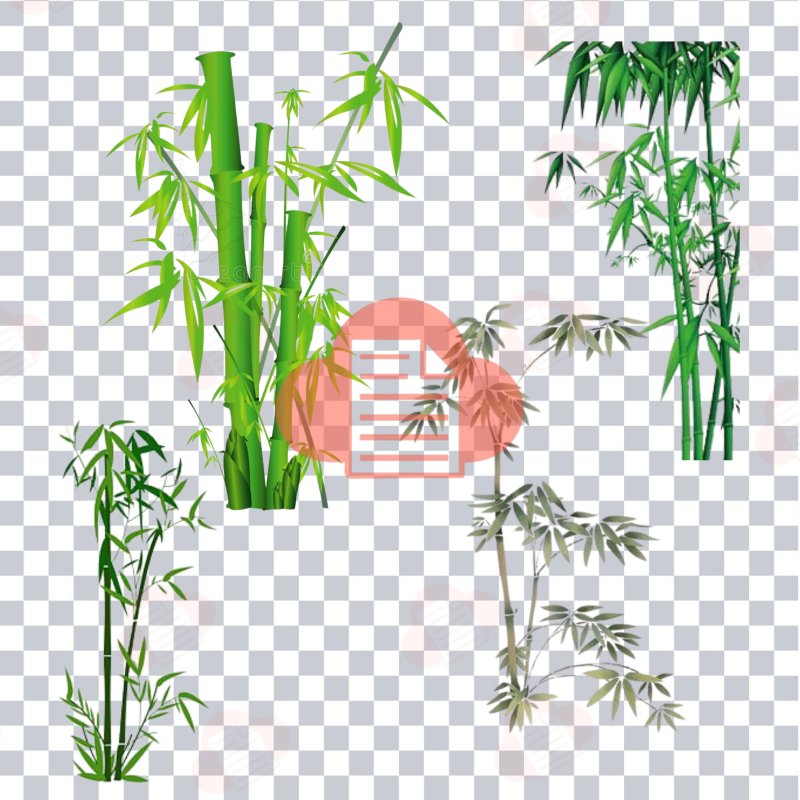 File Hình Cây Tre Việt Nam Vector Đẹp Free Download (AI, Corel, PNG) cay tre vector 4