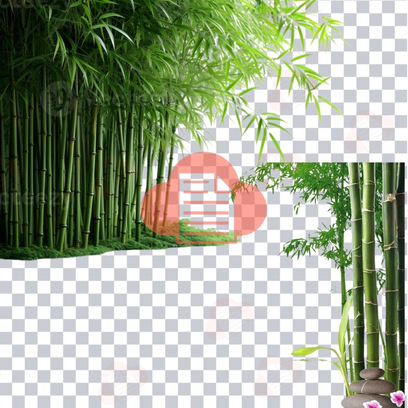 File Hình Cây Tre Việt Nam Vector Đẹp Free Download (AI, Corel, PNG) cay tre vector 8