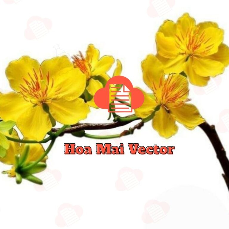 Bộ File Hình Ảnh Cành Cánh Hoa Mai Vàng Vector Ngày Tết Miễn Phí (AI, Corel, PNG) hoa mai vector 2