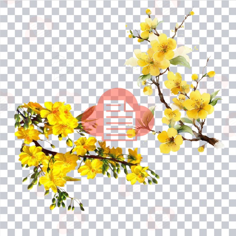Bộ File Hình Ảnh Cành Cánh Hoa Mai Vàng Vector Ngày Tết Miễn Phí (AI, Corel, PNG) hoa mai vector 4