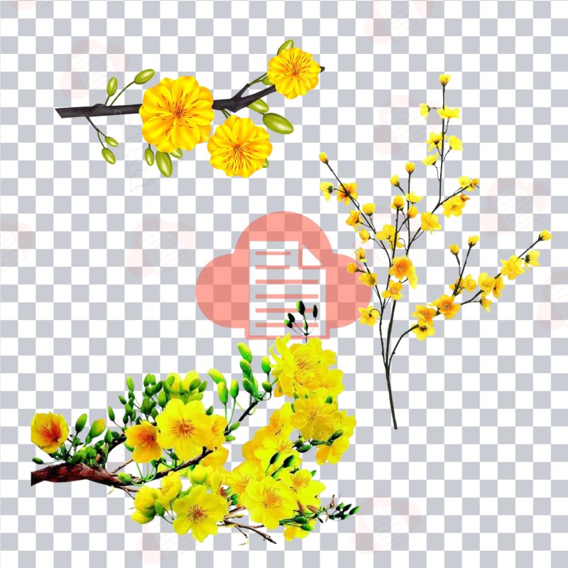 Bộ File Hình Ảnh Cành Cánh Hoa Mai Vàng Vector Ngày Tết Miễn Phí (AI, Corel, PNG) hoa mai vector 6