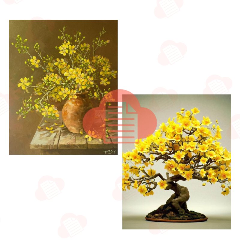 Bộ File Hình Ảnh Cành Cánh Hoa Mai Vàng Vector Ngày Tết Miễn Phí (AI, Corel, PNG) hoa mai vector 8