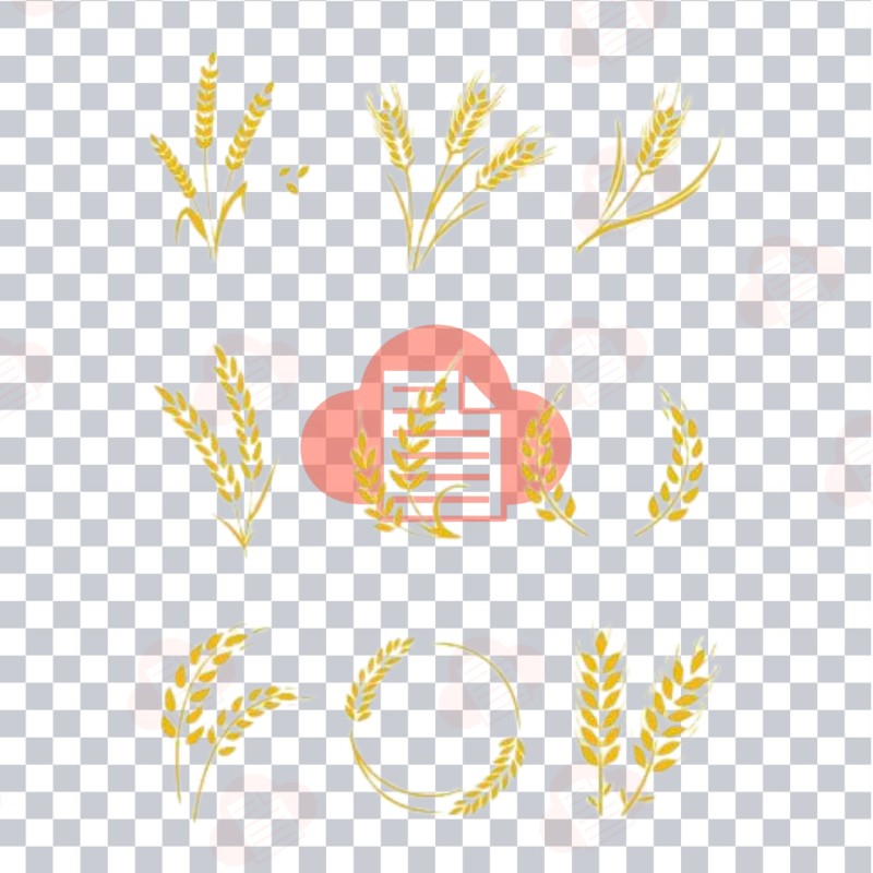 Mẫu Logo Bông Lúa Vector Đẹp Download Free Bản CDR, AI, PNG, Corel bong lua vector 4