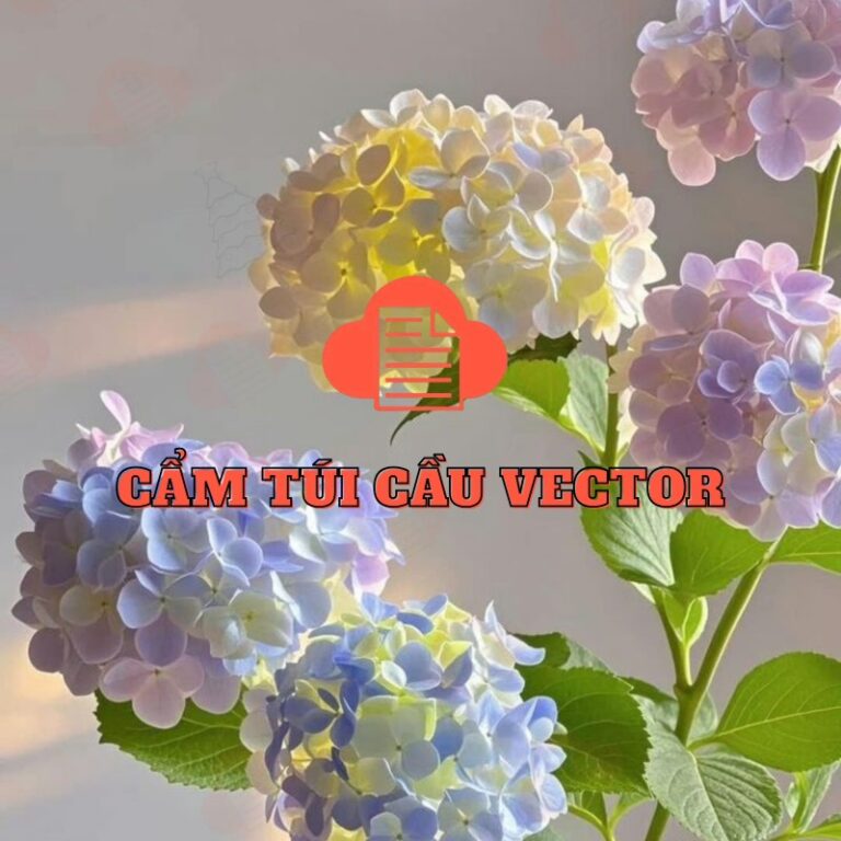 Tổng Hợp 79+ Mẫu Hoa Cẩm Tú Cầu Vector Đẹp Tải Miễn Phí File AI, PNG cam tu cau vector 2