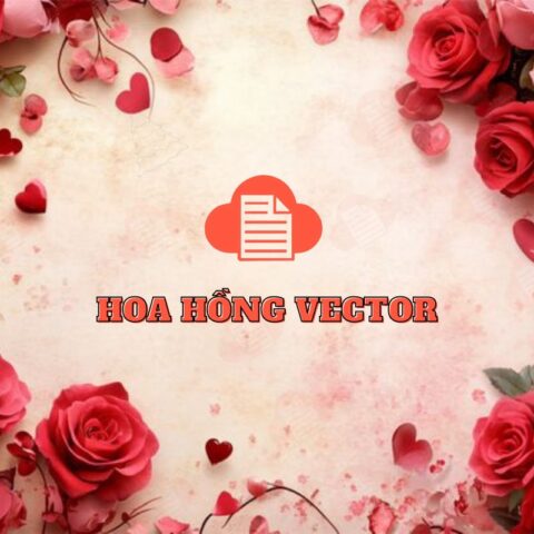 Tổng Hợp 99+ Mẫu Hoa Hồng Vector Đẹp Tải Miễn Phí File AI, PNG, EPS hoa hong vector 2