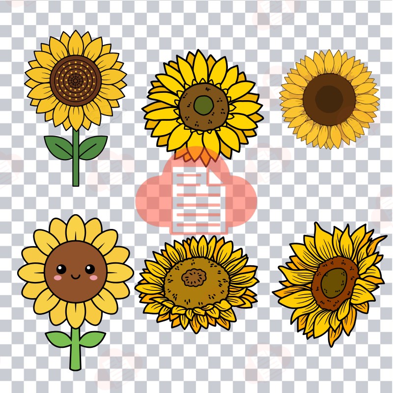 Kho Background Hoa Hướng Dương Vector Đẹp AI, PNG, CDR Miễn Phí hoa huong duong vector 3