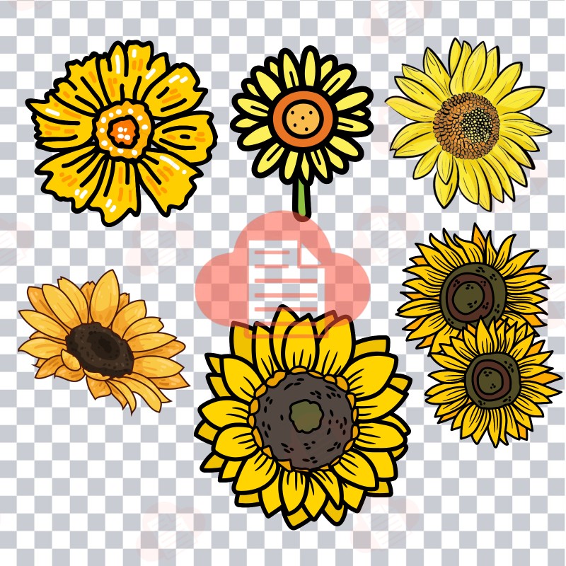 Kho Background Hoa Hướng Dương Vector Đẹp AI, PNG, CDR Miễn Phí hoa huong duong vector 5