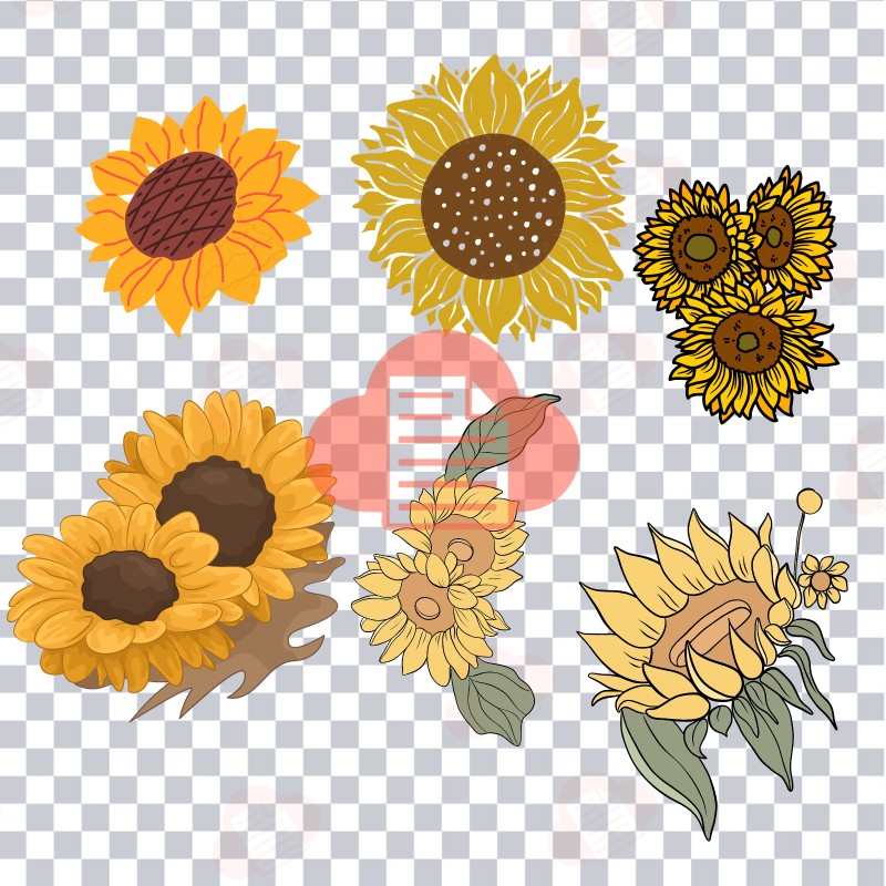 Kho Background Hoa Hướng Dương Vector Đẹp AI, PNG, CDR Miễn Phí hoa huong duong vector 6