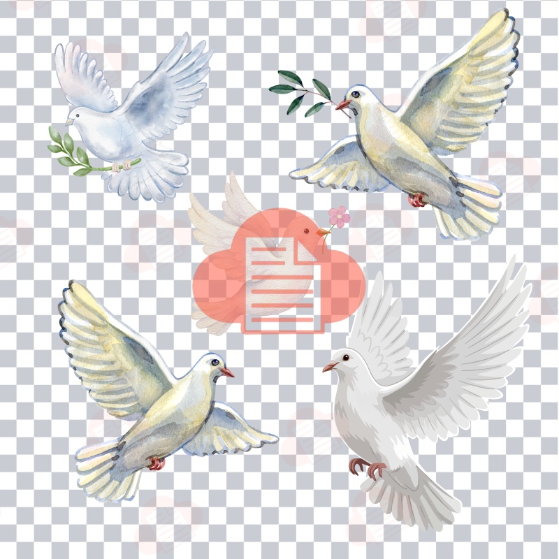 66+ Chim Bồ Câu Vector, Hình Cánh Đôi Chim Bồ Câu Song Hỷ Miễn Phí chim bo cau vector 3