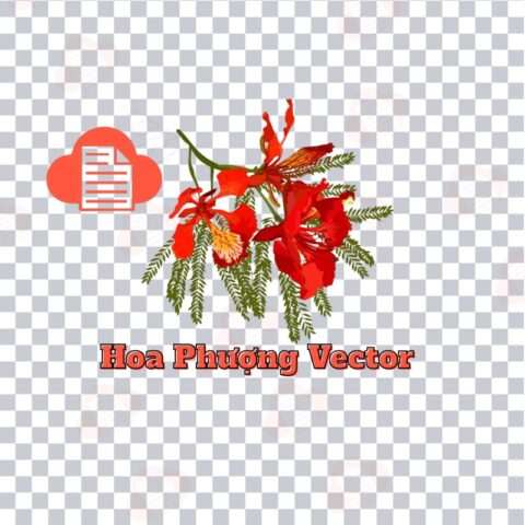 85+ Cây Cành Hoa Phượng Vector Đỏ Đẹp File AI, PNG, Corel Tải Miễn Phí hoa phuong vector 1