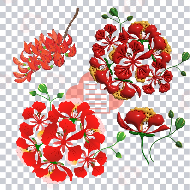 85+ Cây Cành Hoa Phượng Vector Đỏ Đẹp File AI, PNG, Corel Tải Miễn Phí hoa phuong vector 2