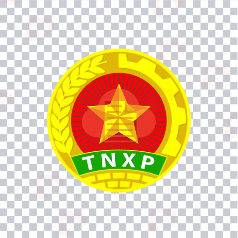 Tải Logo Hội Cựu Thanh Niên Xung Phong Vector, PNG Tách Nền logo hoi cuu thanh nien xung phong vector 2